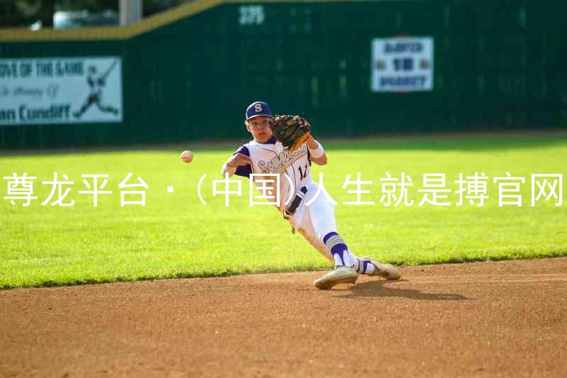 尊龙平台·(中国)人生就是搏官网