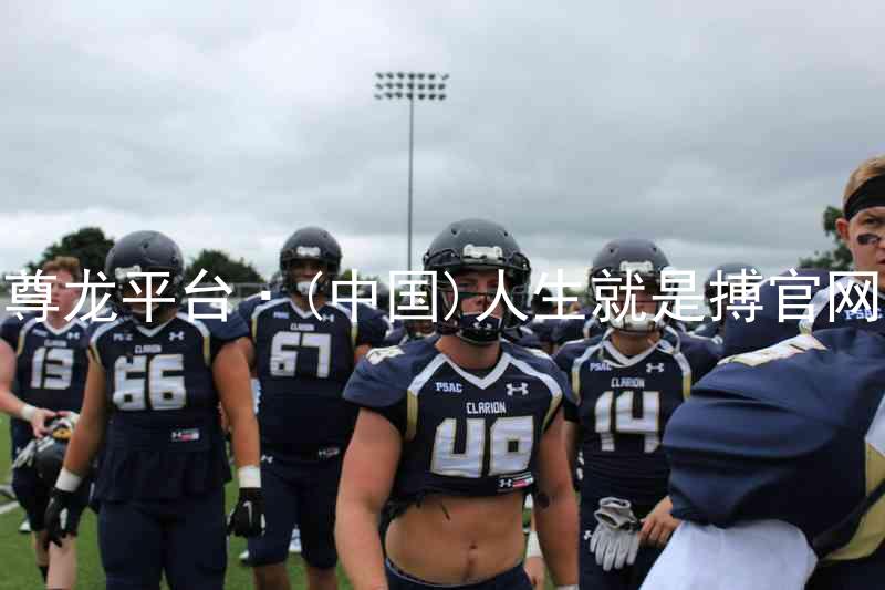 尊龙平台·(中国)人生就是搏官网