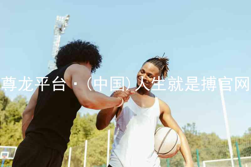 尊龙平台·(中国)人生就是搏官网